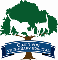 Employer Logo